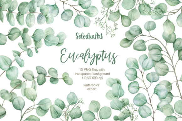 Download Watercolor Eucalyptus Clipart - Art Collection