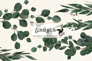 Download Eucalyptus Clipart - Art Collection