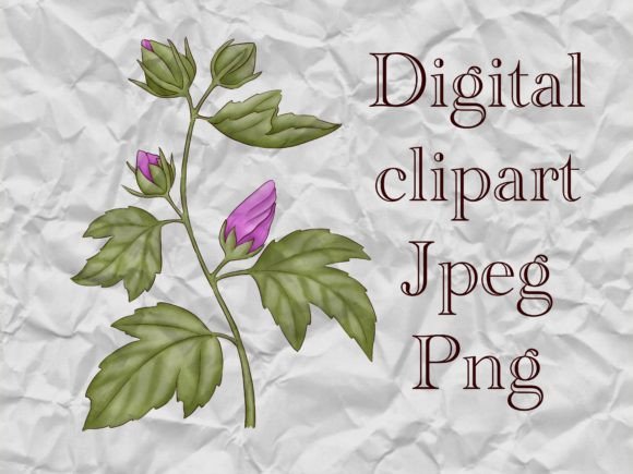Download Hibiscus Flower Branch Clipart - Art Collection