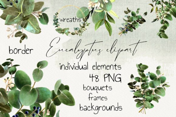 Download Eucalyptus Clipart Set PNG - Art Collection