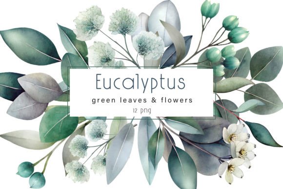 Download Eucalyptus Clipart. Watercolor Greenery - Art Collection