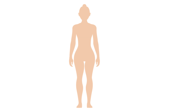 Download Female Figure. Color Human Silhouette. W - Premium Resources