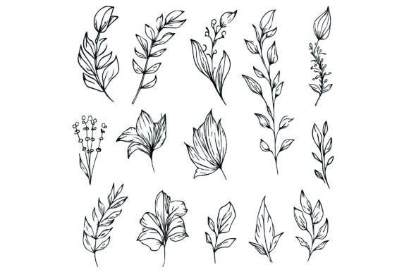 Download Botanical Leaf Line Drawings, Vector Art - Art Collection