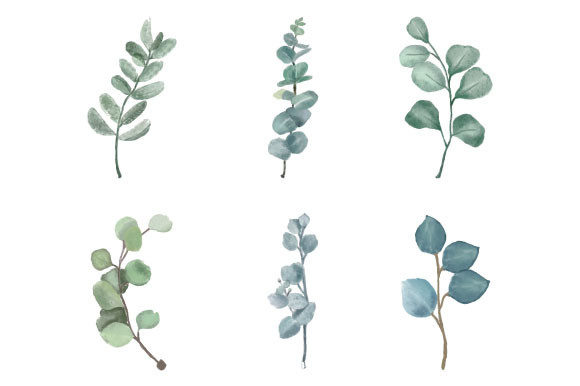 Download Watercolor Eucalyptus Clipart SVG PNG - Art Collection