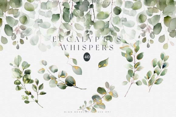 Download Watercolor Eucalyptus Clipart Set - Art Collection