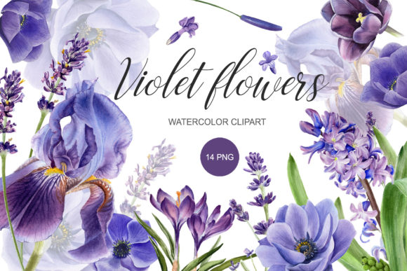Download Watercolor Purple Flower Clipart. PNG - Art Collection