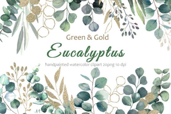 Download Eucalyptus Clipart. Eucalyptus Leaves - Art Collection